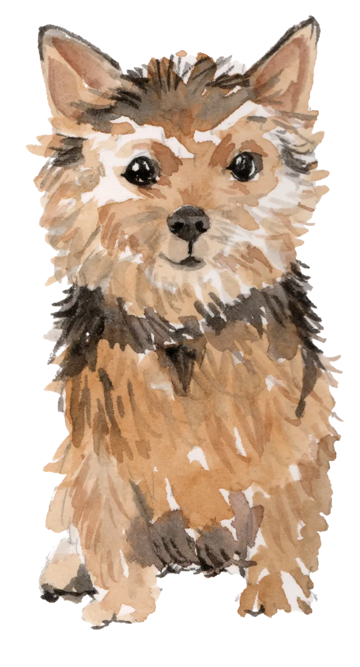 狗狗水彩画插画免扣素材可爱宠物狗