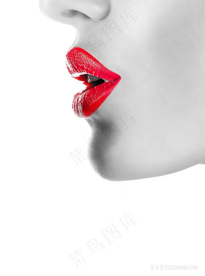 红唇时尚美女装饰画