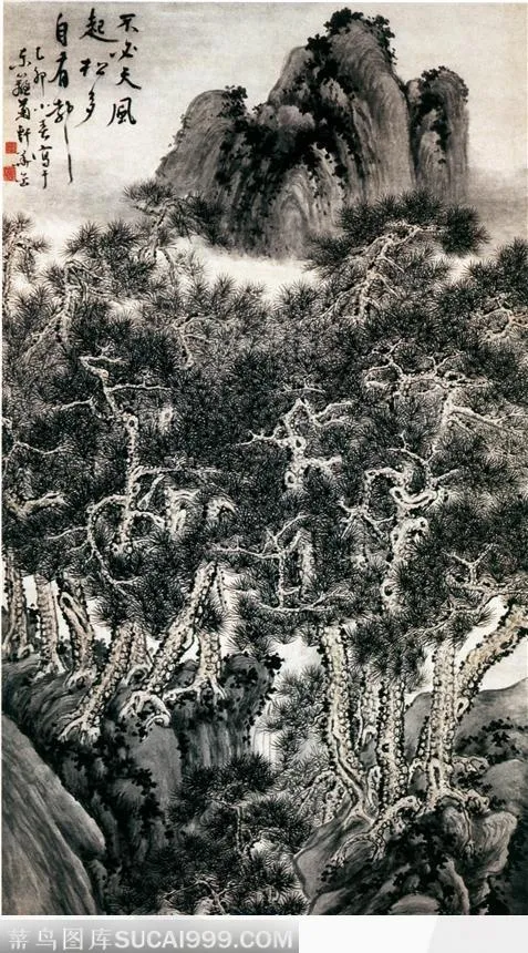 苍劲的青松