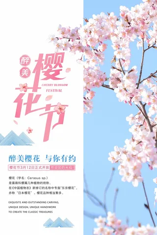 樱花节 樱花节海报模板