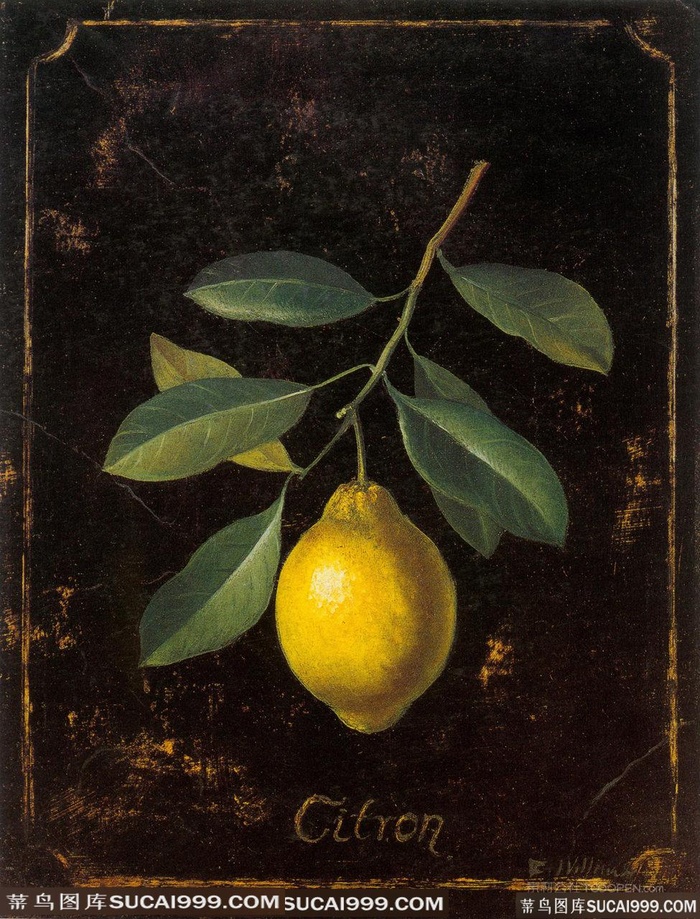 橘子树枝高清油画