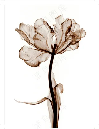 装饰画|客厅|海报画|电表箱装饰画|挂画