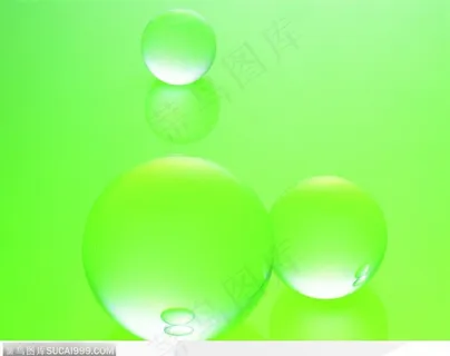 绿色底板上的水珠 绿色底板上的水珠