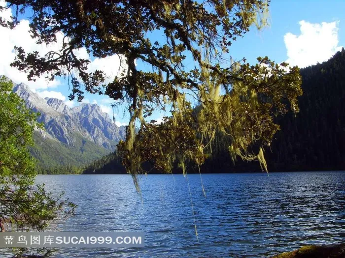 四川九龙伍须海风景素材