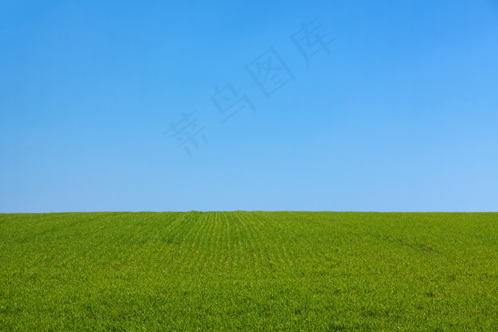 草原桌面风景图片