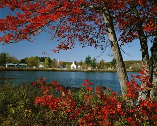 红红的枫树下河流边的村庄
