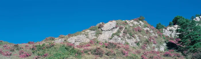 J147-67-大幅风景62