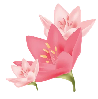 免抠粉色花朵素材