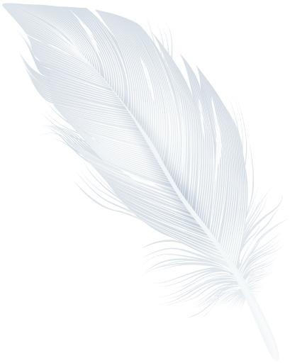 白色羽毛 PNG免抠(6400x8000)