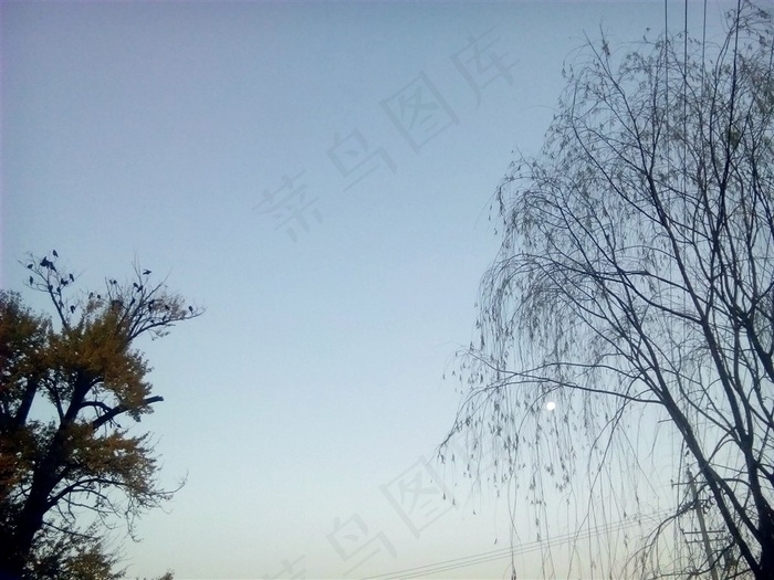 高原小村黎明的月光