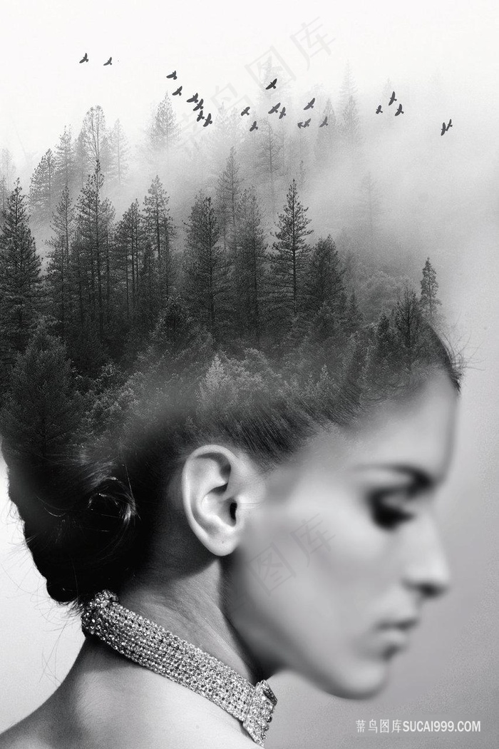 唯美树林黑白女性装饰画