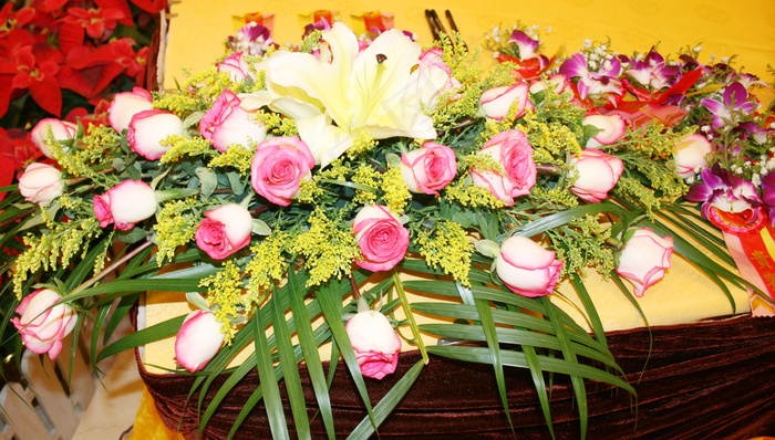 高清玫瑰花图片下载