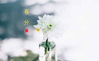 小清新廿四节气春分图片