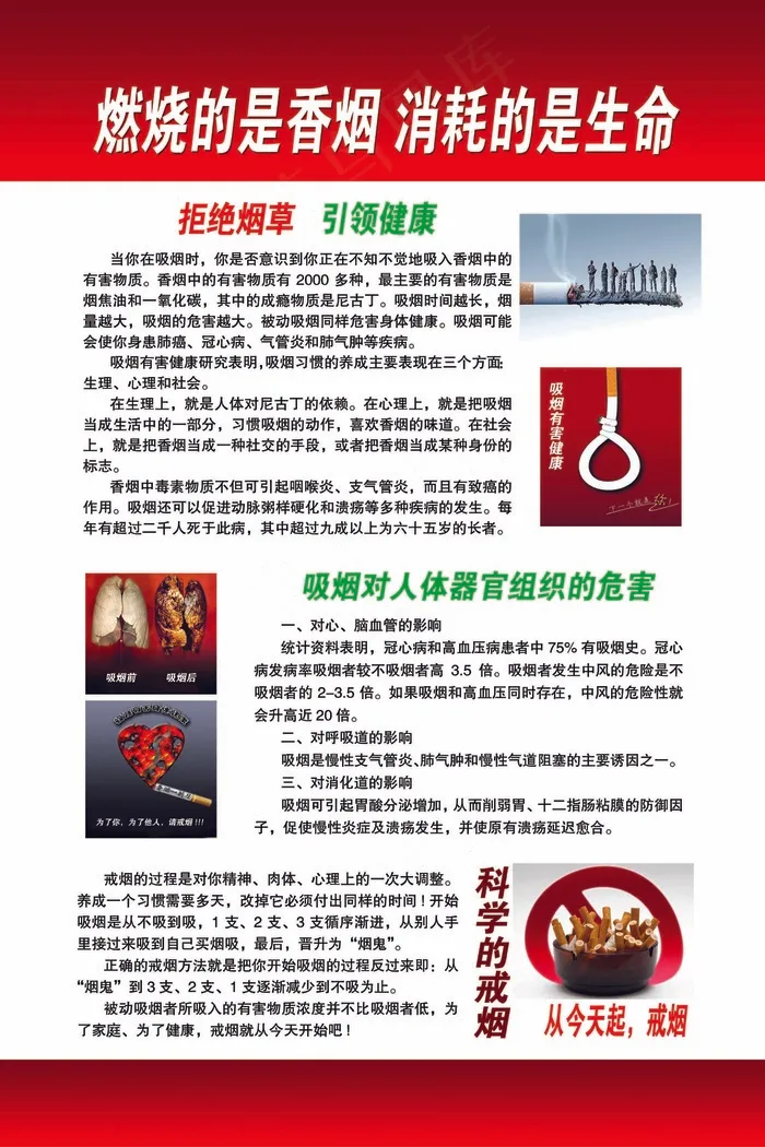 燃烧的是香烟消耗的是生命吸烟的危害psd模版下载