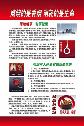燃烧的是香烟消耗的是生命吸烟的危害
