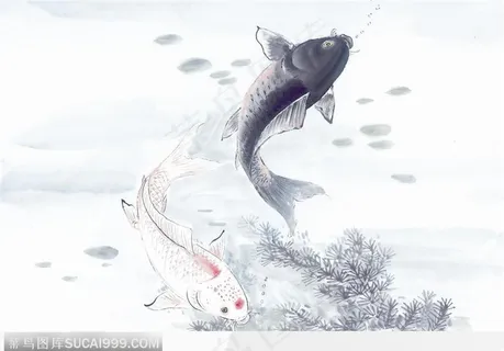 水墨画—鲤鱼