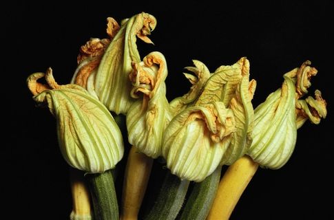 西红柿辣椒卷心菜水果摄影摄影图片