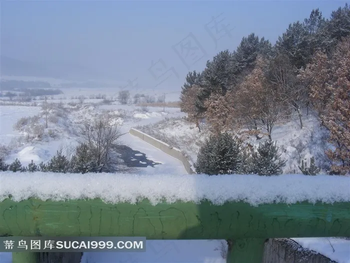 山林风景图