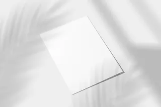 单张黑白灰简约平铺光影海报样机