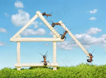 蚂蚁搬家图片 蚂蚁搬家图片