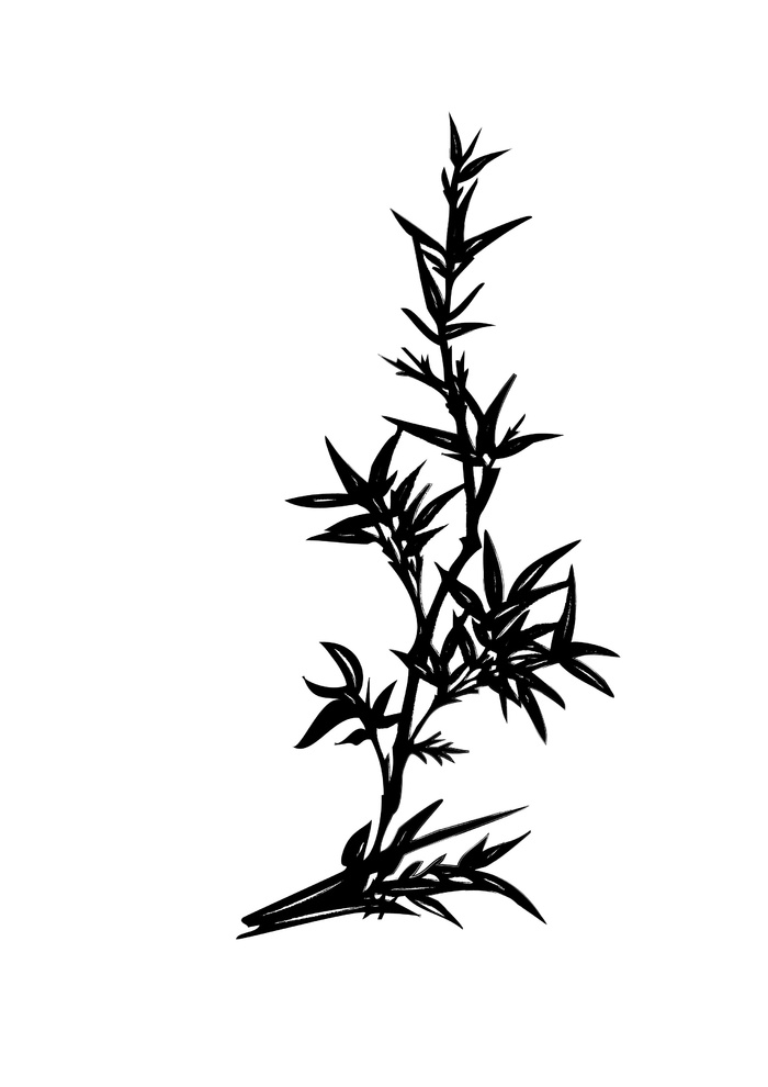 炭笔黑白植物免抠ai矢量模版下载