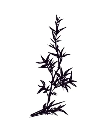 炭笔黑白植物免抠