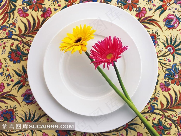 菊花花艺大餐素材
