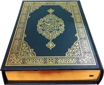 * PNG免抠(336x273)