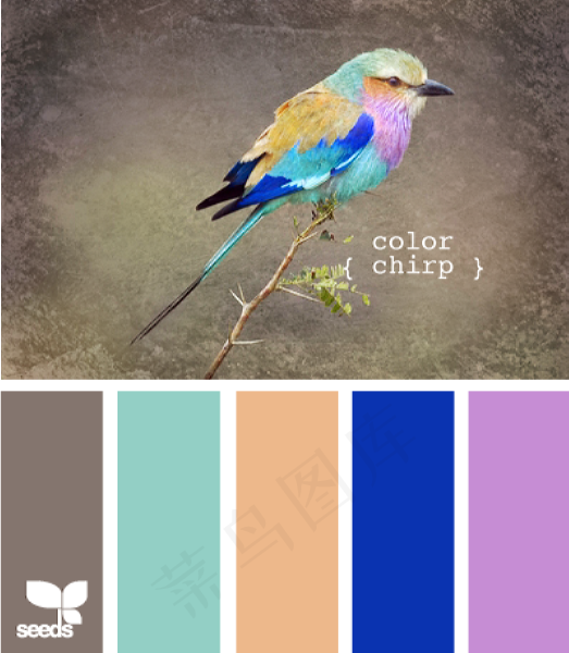 家禽鸟类配色色卡色彩搭配