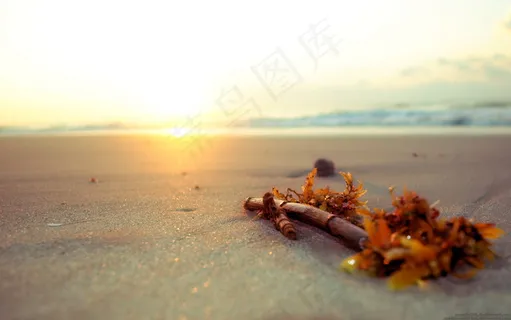 非主流逆光图片