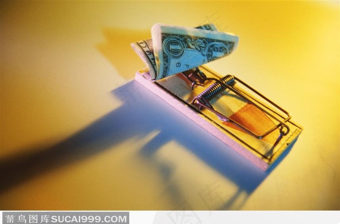 老鼠夹上的钱币