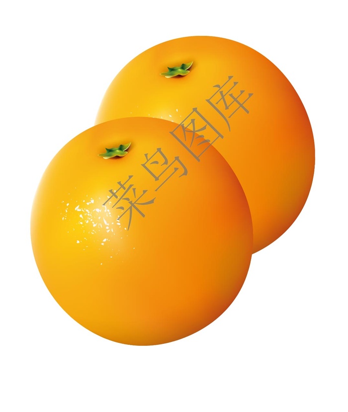 橙子矢量图ai矢量模版下载