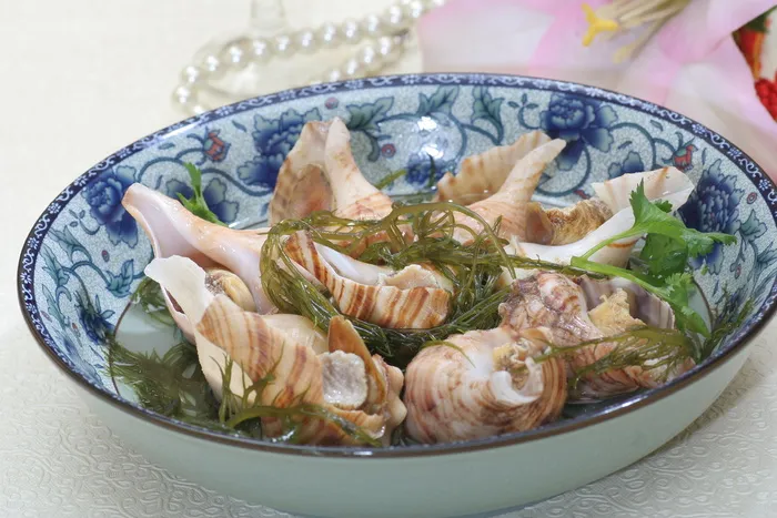 小海螺 小海螺