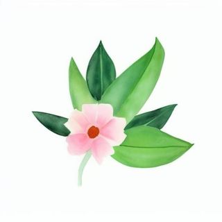 一朵花有绿叶环绕png免抠