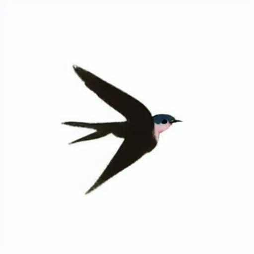 燕子png免抠(2048x2048)