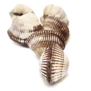 毛蛤 (3)海鲜超市商品红酒白底图免抠实物摄影png格式图片透明底