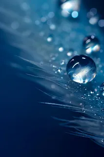 露珠蓝色清新大气背景