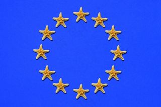 海星蓝色背景图片