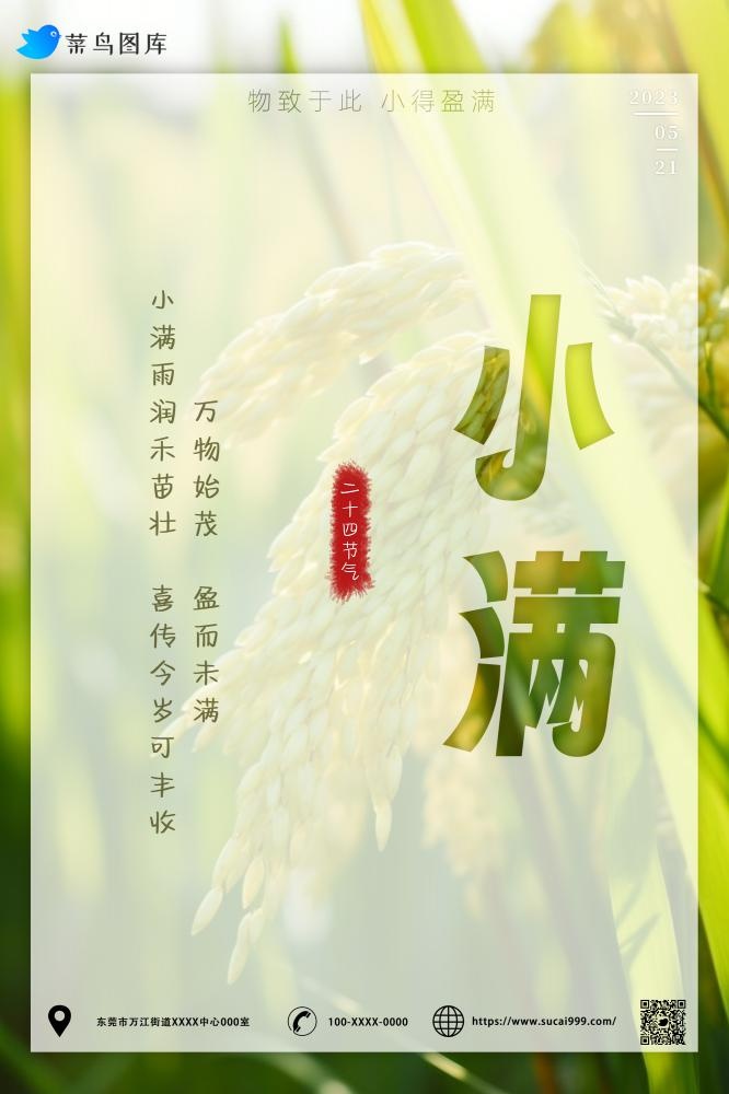小满节气稻谷小麦麦穗绿色小清新海报