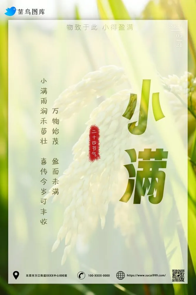 小满节气稻谷小麦麦穗绿色小清新海报(2000x3000)psd模版下载