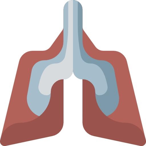 肺 PNG免抠(512x512)