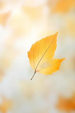 秋天落叶秋叶黄色背景