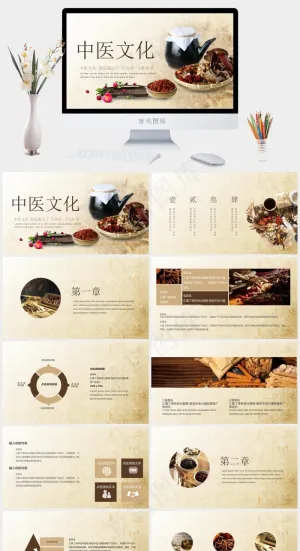 中药中医治病PPT模板ppt模版预览图