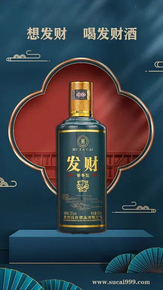 国潮产品展示宣传海报