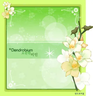 手绘花卉装饰边框背景