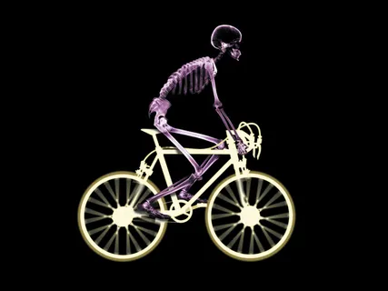 自行车  运动  骨骼 出行