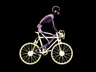 自行车  运动  骨骼 出行