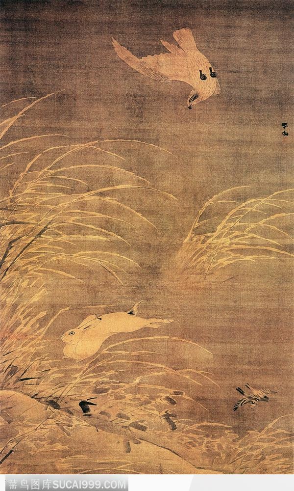 花鸟篇-鸟与兔子