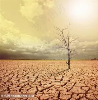 干旱的大地自然景色高清图 干旱的大地自然景色高清图