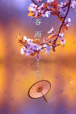 创意时尚传统节日谷雨海报